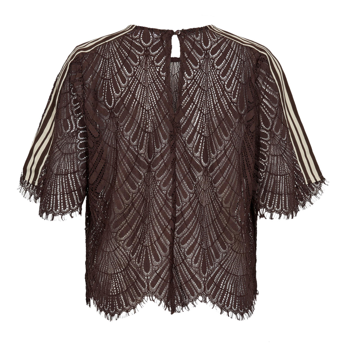 LetiCC Lace Blouse - Bruin