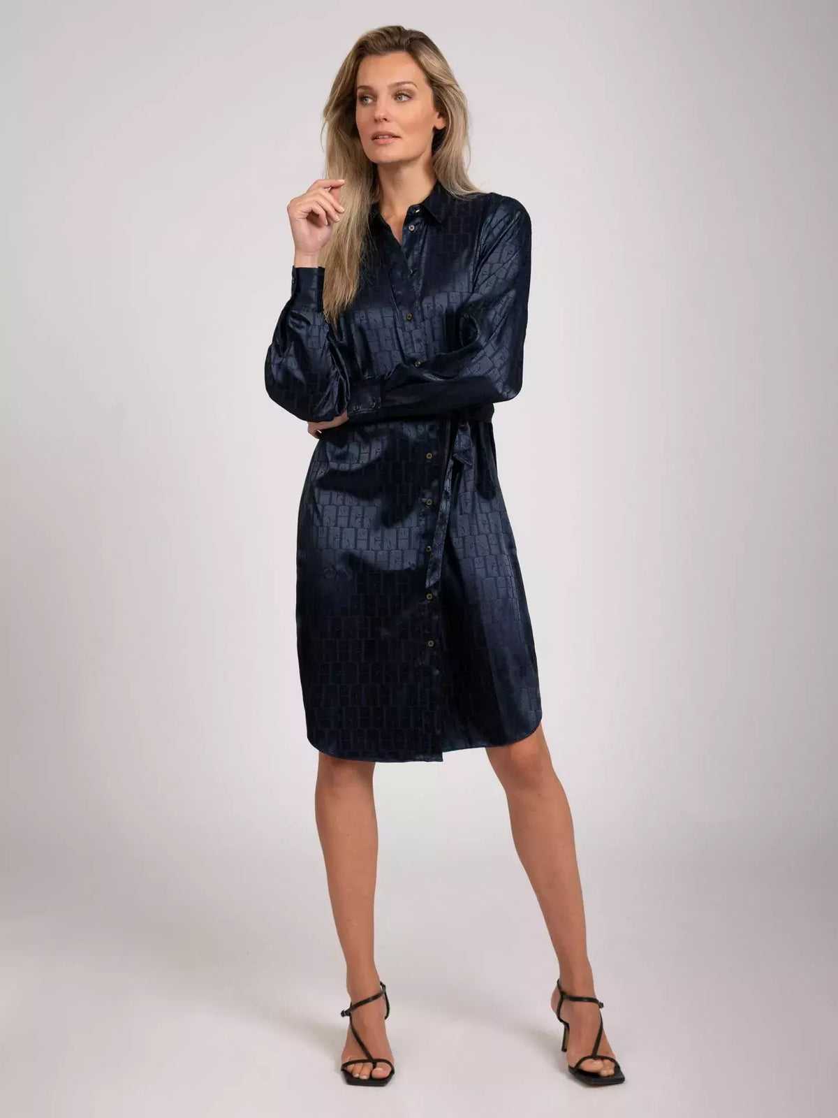 Aster Shirt Dress - Blauw