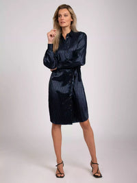 Aster Shirt Dress - Blauw