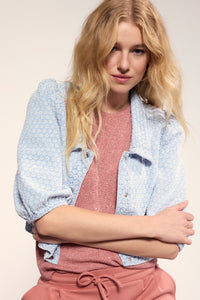 Embroidered Denim Jacket