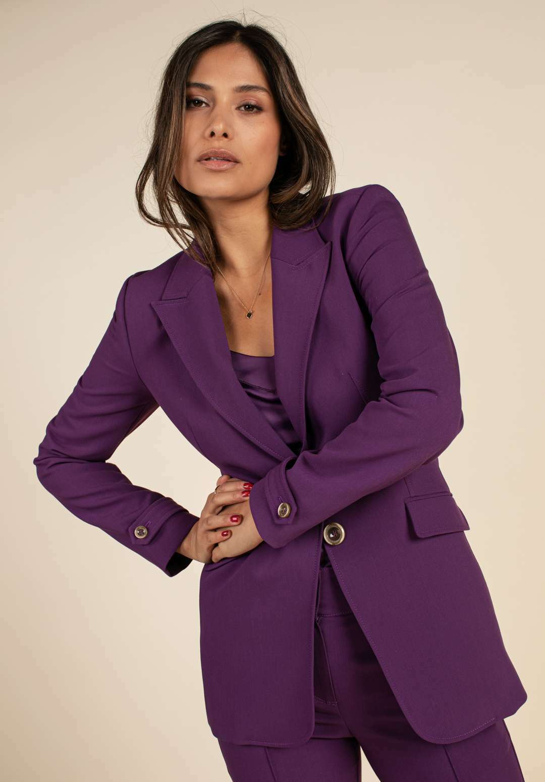 Blazer - Paars