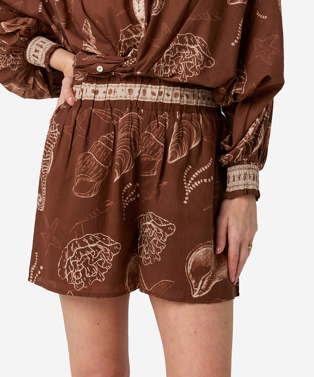Shazira Shell Short - Bruin