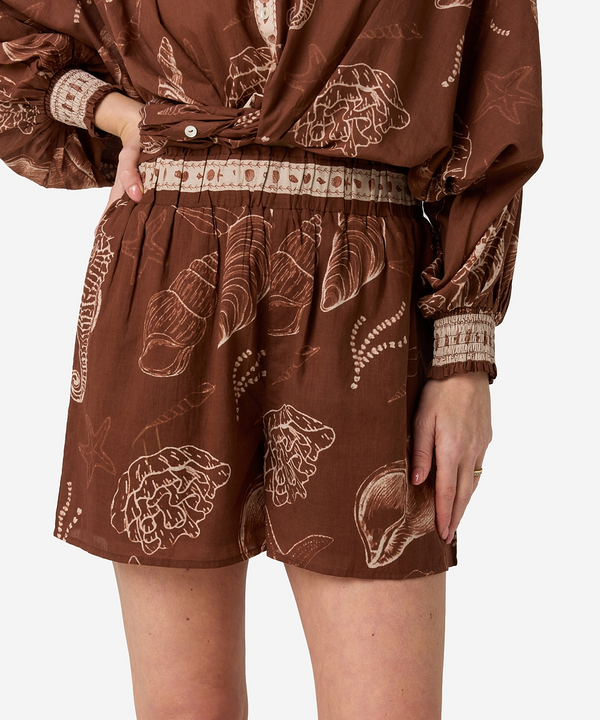 Shazira Shell Short - Bruin